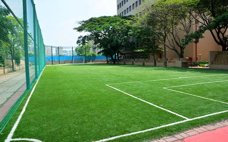 Recreation Field